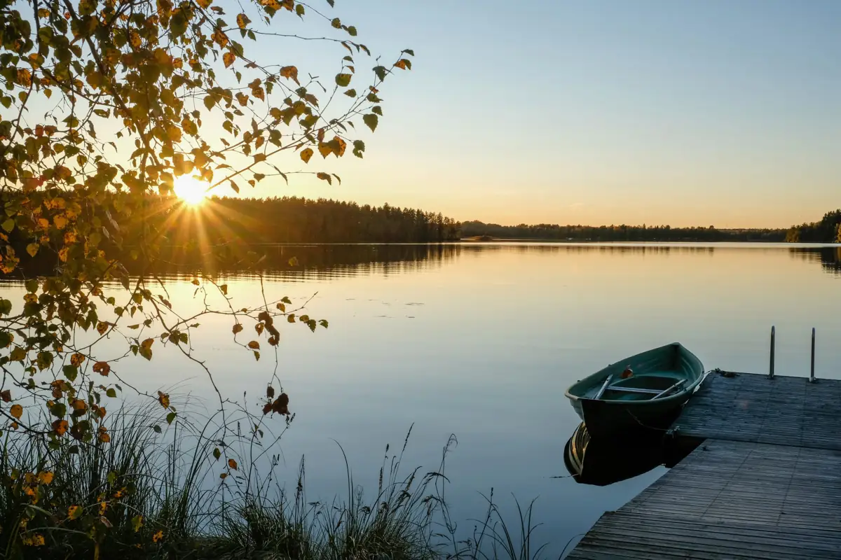 Sunset over a calm lake in Finnish Lapland, seen through golden autumn birch leaves